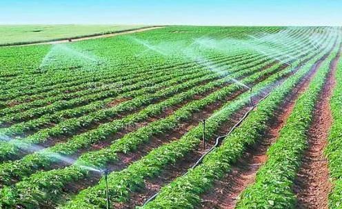 免费靠逼视频网站农田高 效节水灌溉